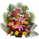 Ƹʻٵ
