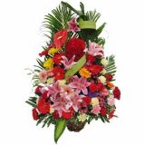 Ƹʻٵ